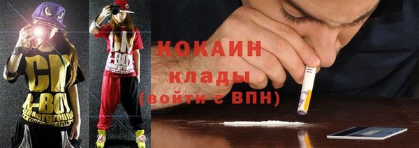 индика Алексеевка