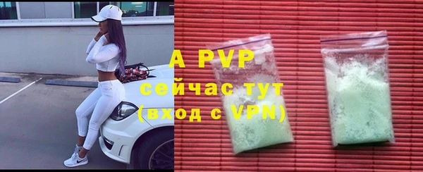 гашик Алексин