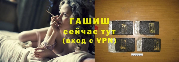 гашик Алексин