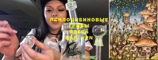 гашик Алексин