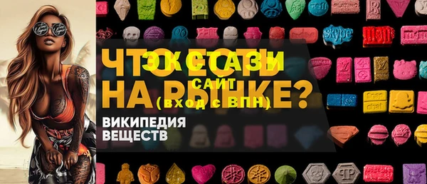 гашик Алексин