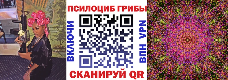где можно купить наркотик  Анадырь  omg зеркало  Галлюциногенные грибы Psilocybe 