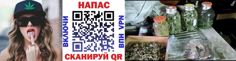 Бошки марихуана LSD WEED  где можно купить   Анадырь 